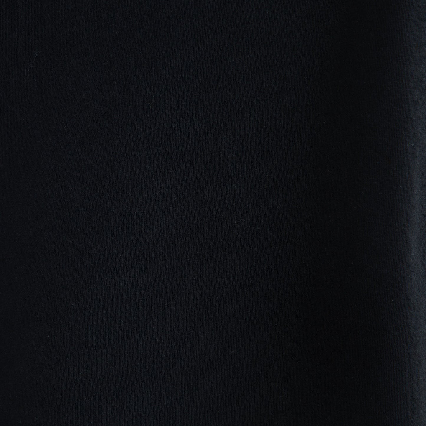 21号(6L~) トロンプルイユフルーツTシャツ