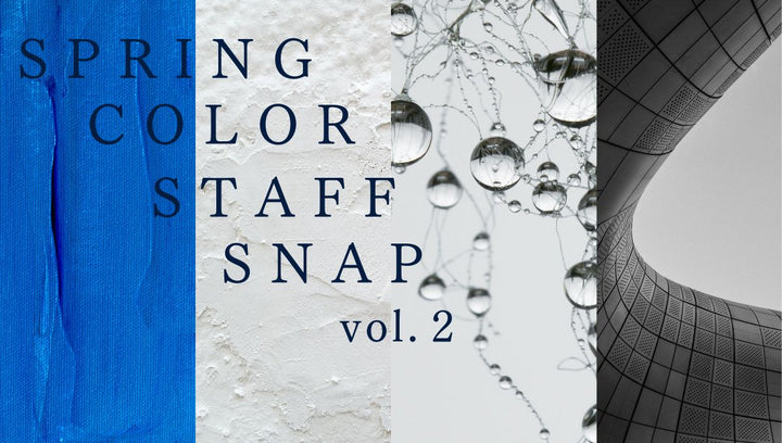 カラー別春のstaff snap-vol.2