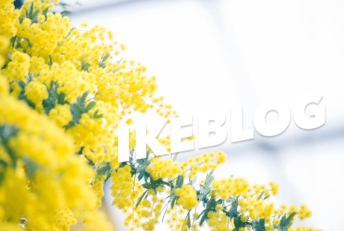 春の新作のご紹介とイベントのご案内＠東武池袋店