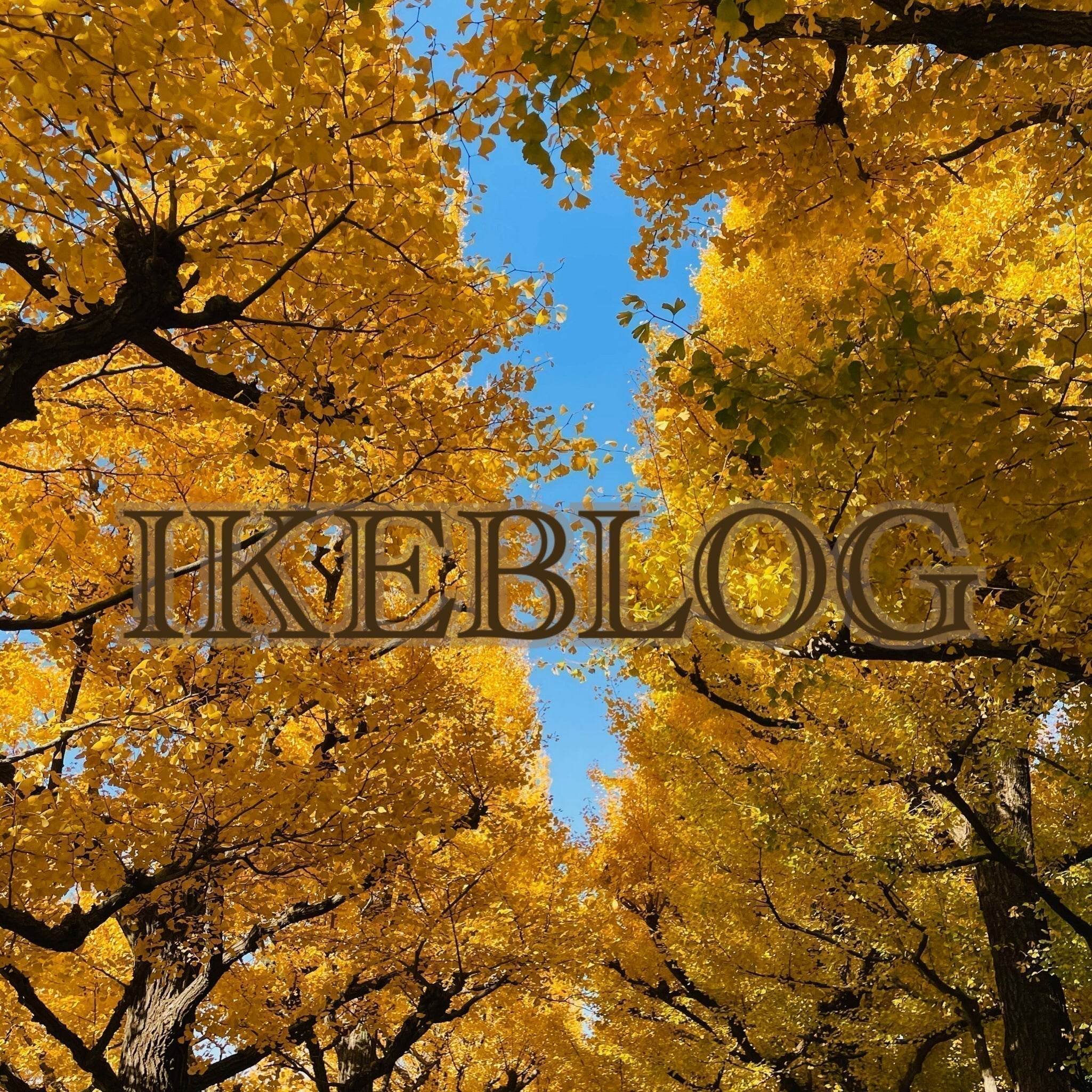 🍁新作のご紹介＆イベントのお知らせ＠東武池袋店