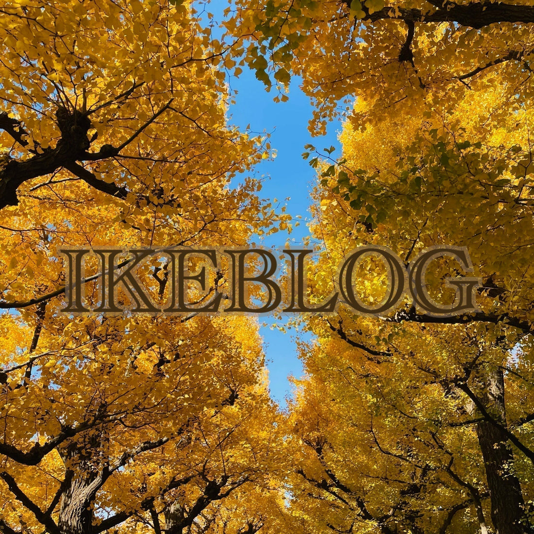 🍁新作のご紹介＆イベントのお知らせ＠東武池袋店