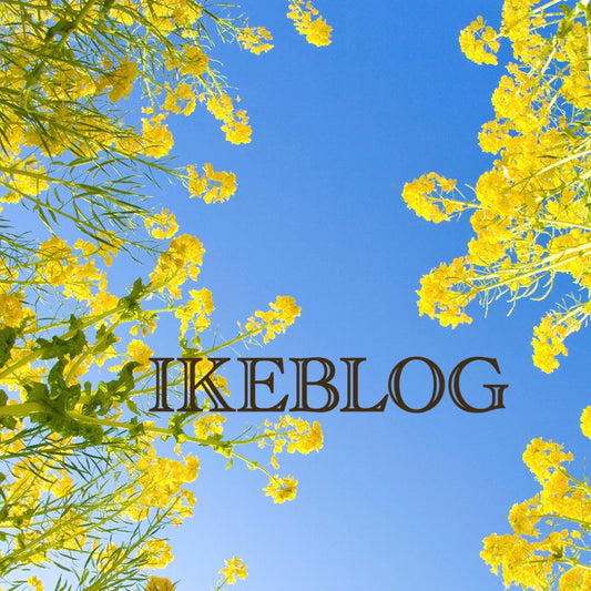 2月新作＆イベントのお知らせ＠東武池袋店