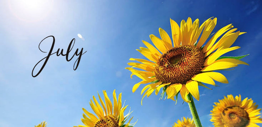 🌻7月のお知らせ＠池袋東武店