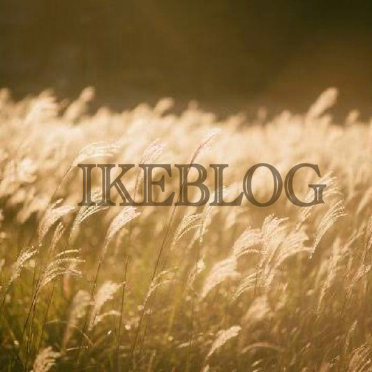 🌾9月イベントのお知らせ＠東武池袋店