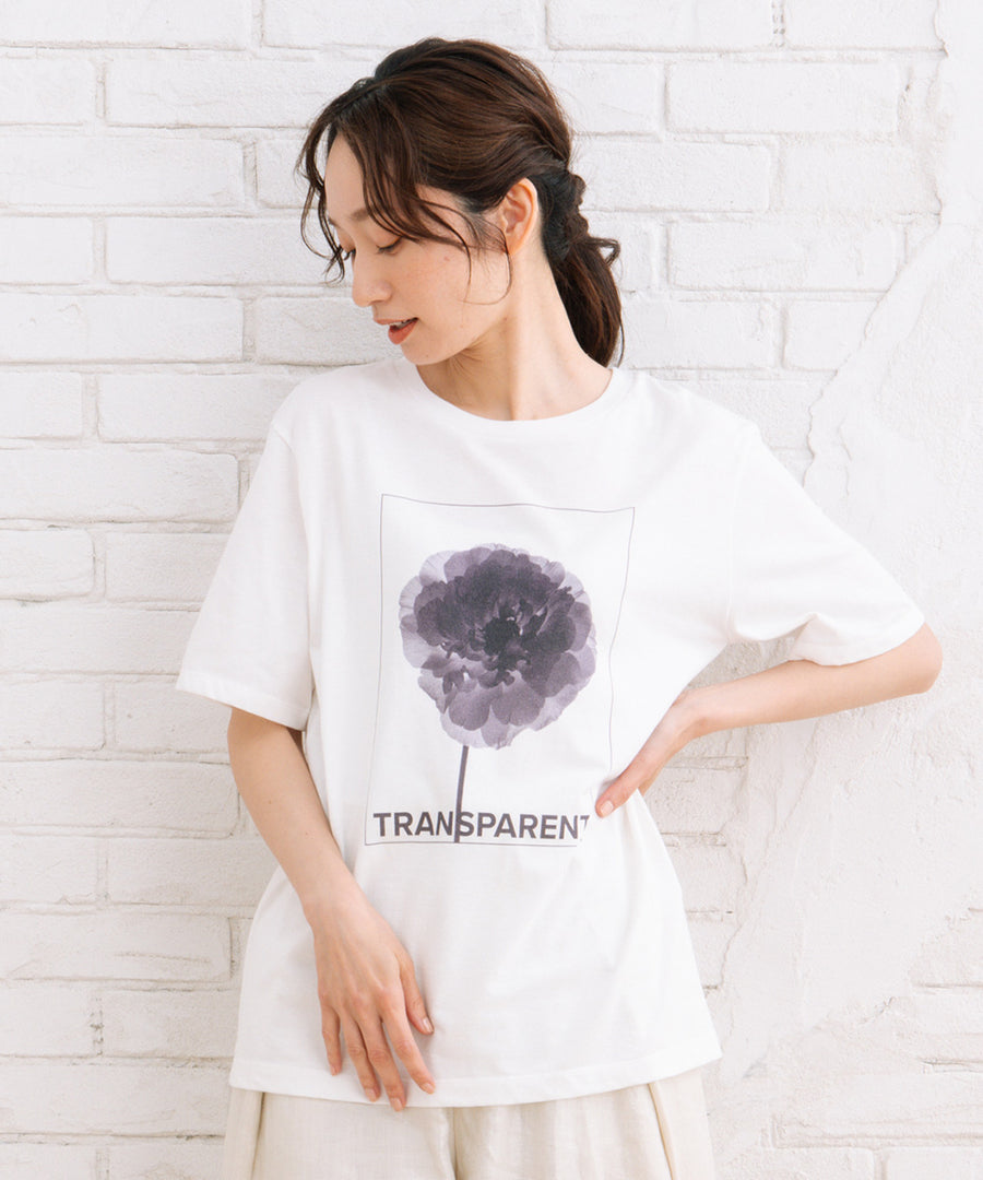 LIYOCA [30th]フォトプリントTシャツ