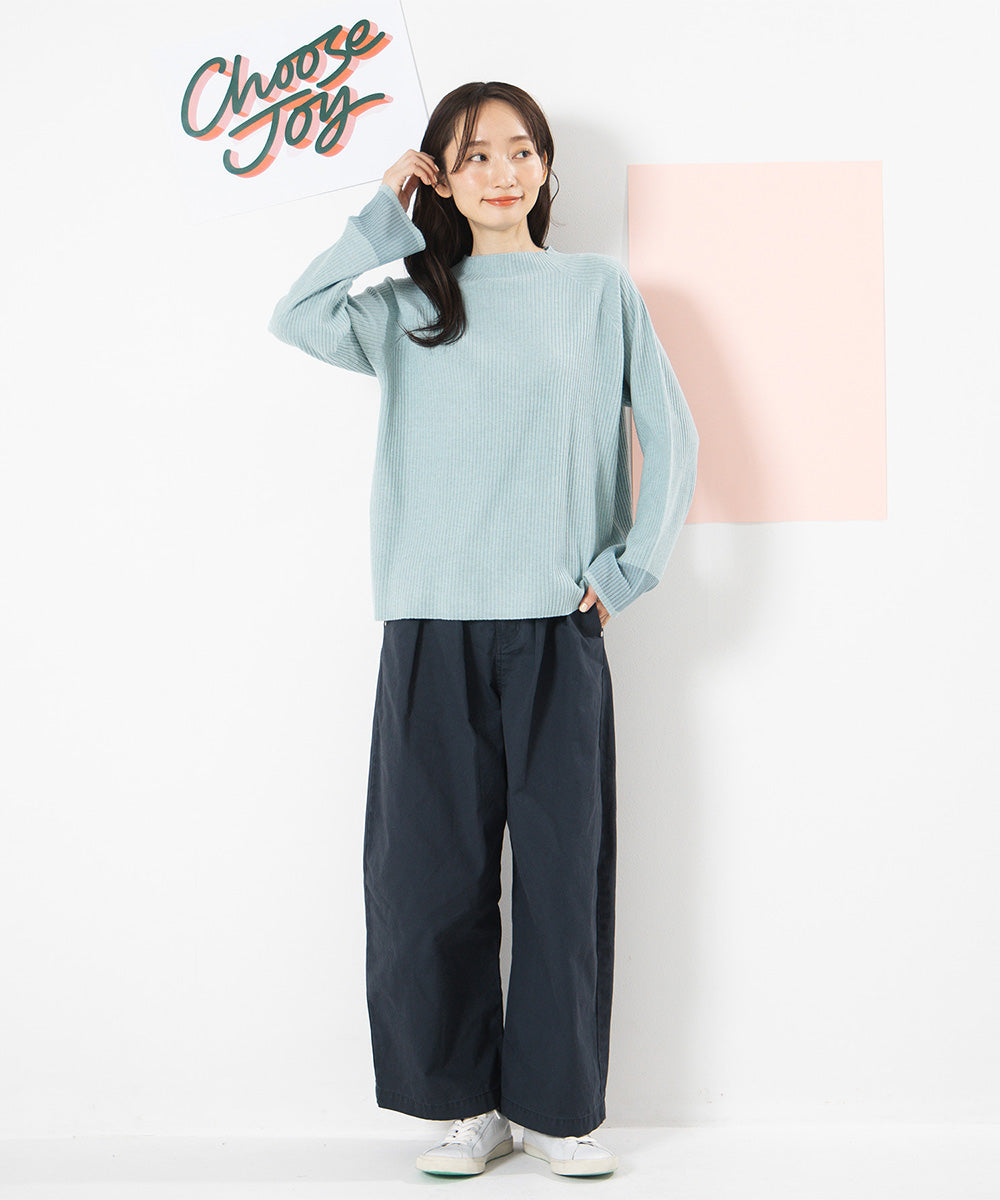 大きいサイズ レディース シアー ニット