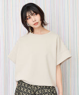 グレージュ(11)